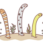 チンアナゴの名前の由来は 飼いやすいので人気が高い ペットのなまえ